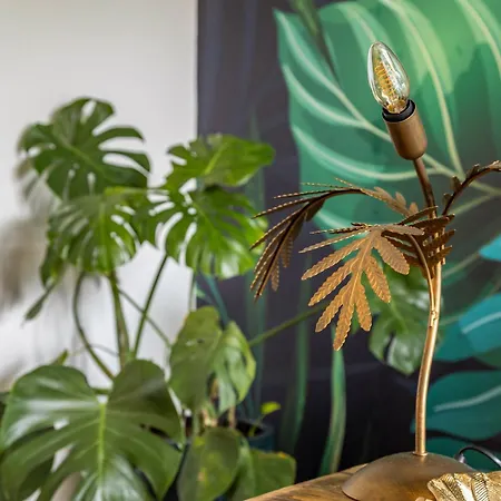 Hotz Radolfzell am Bodensee